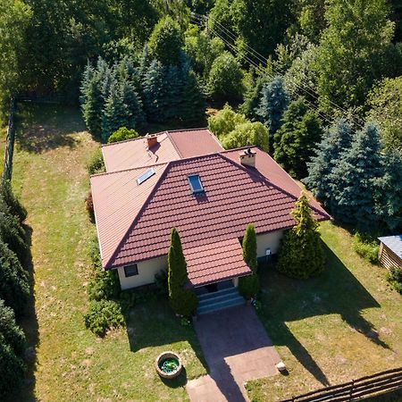 Forest Villa - Pokoje W Poblizu Suntago Krzyzowka  Exterior photo